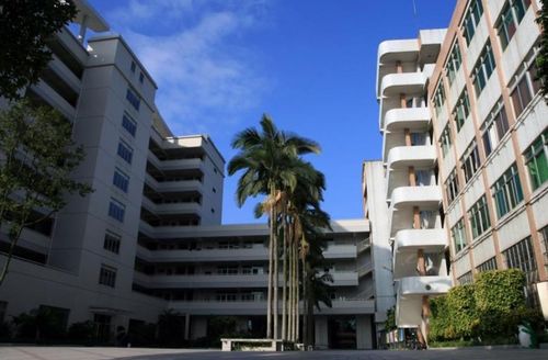 廣州有哪些高職大學(xué) 多少分可以報廣州高職高考學(xué)校