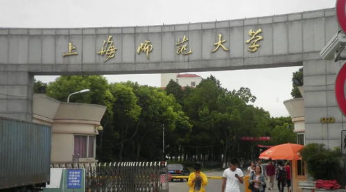 2020年新增專業名單 美術類專業擴展，助力本科教育多元化