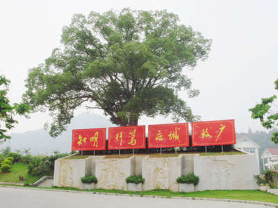 福建師范大學福清分校 綠意盎然的校園風光